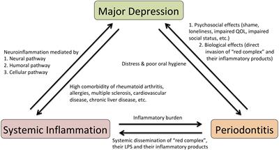 Implications of Systemic Inflammation and Periodontitis for Major Depression